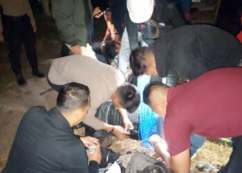 Penggerebekan pesta ganja di pinggiran Danau Toba (Int)