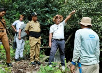 Bupati Simalungun meninjau sumber mata air di Nagori Pamatang Sinaman Kecamatan Dolok Masagal Kabupaten Simalungun