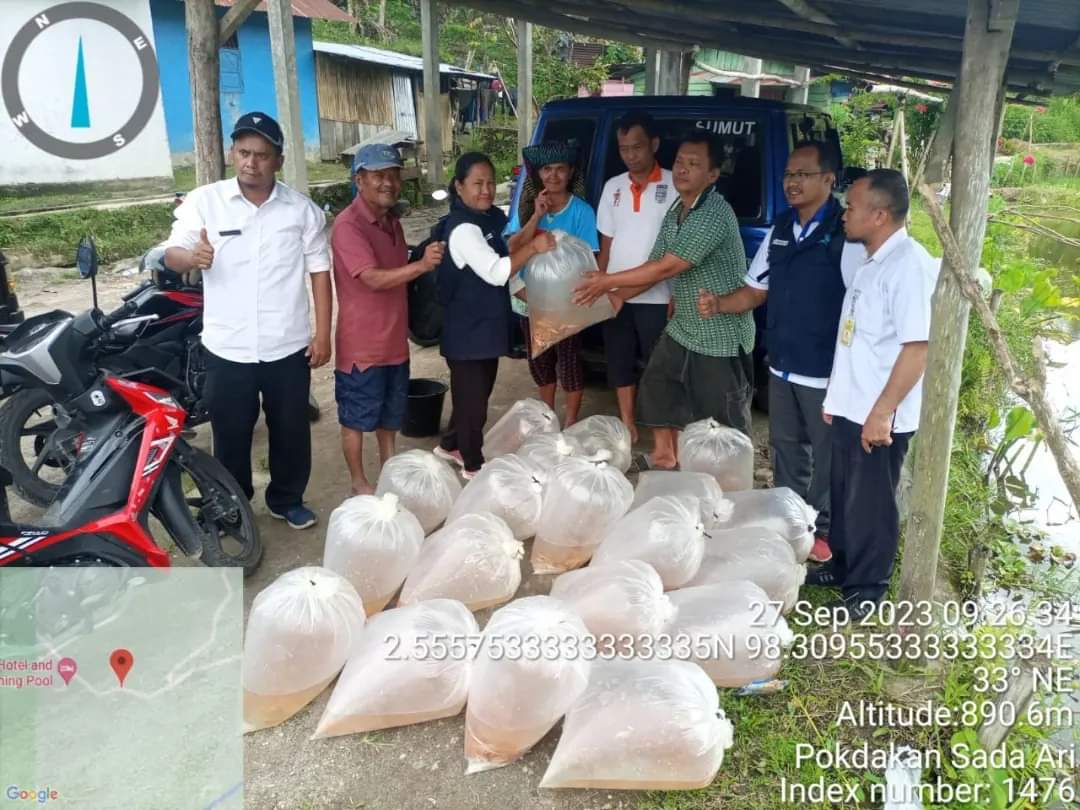 Pemkab Pakpak Bharat Bagikan Bantuan Bibit Ikan Kepada Pokdakan