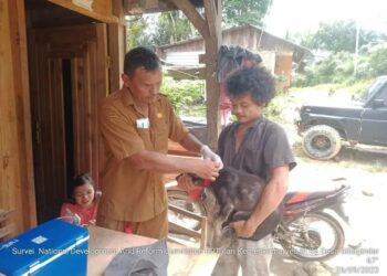 Pemkab Pakpak Bharat Gelar Vaksinasi Rabies Serentak Dalam Rangka Memperingati Hari Rabies Sedunia 