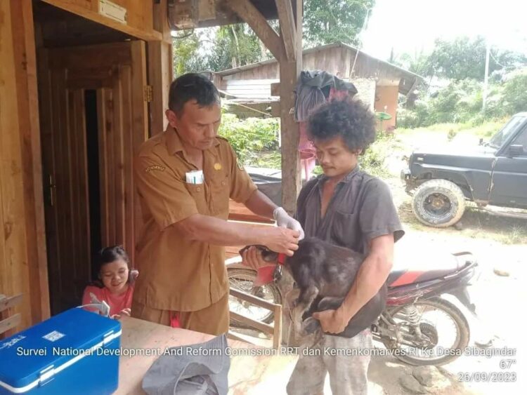 Pemkab Pakpak Bharat Gelar Vaksinasi Rabies Serentak Dalam Rangka Memperingati Hari Rabies Sedunia 