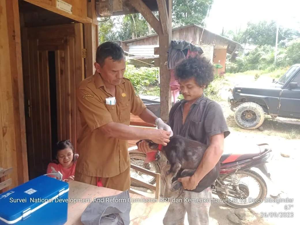Pemkab Pakpak Bharat Gelar Vaksinasi Rabies Serentak Dalam Rangka Memperingati Hari Rabies Sedunia 