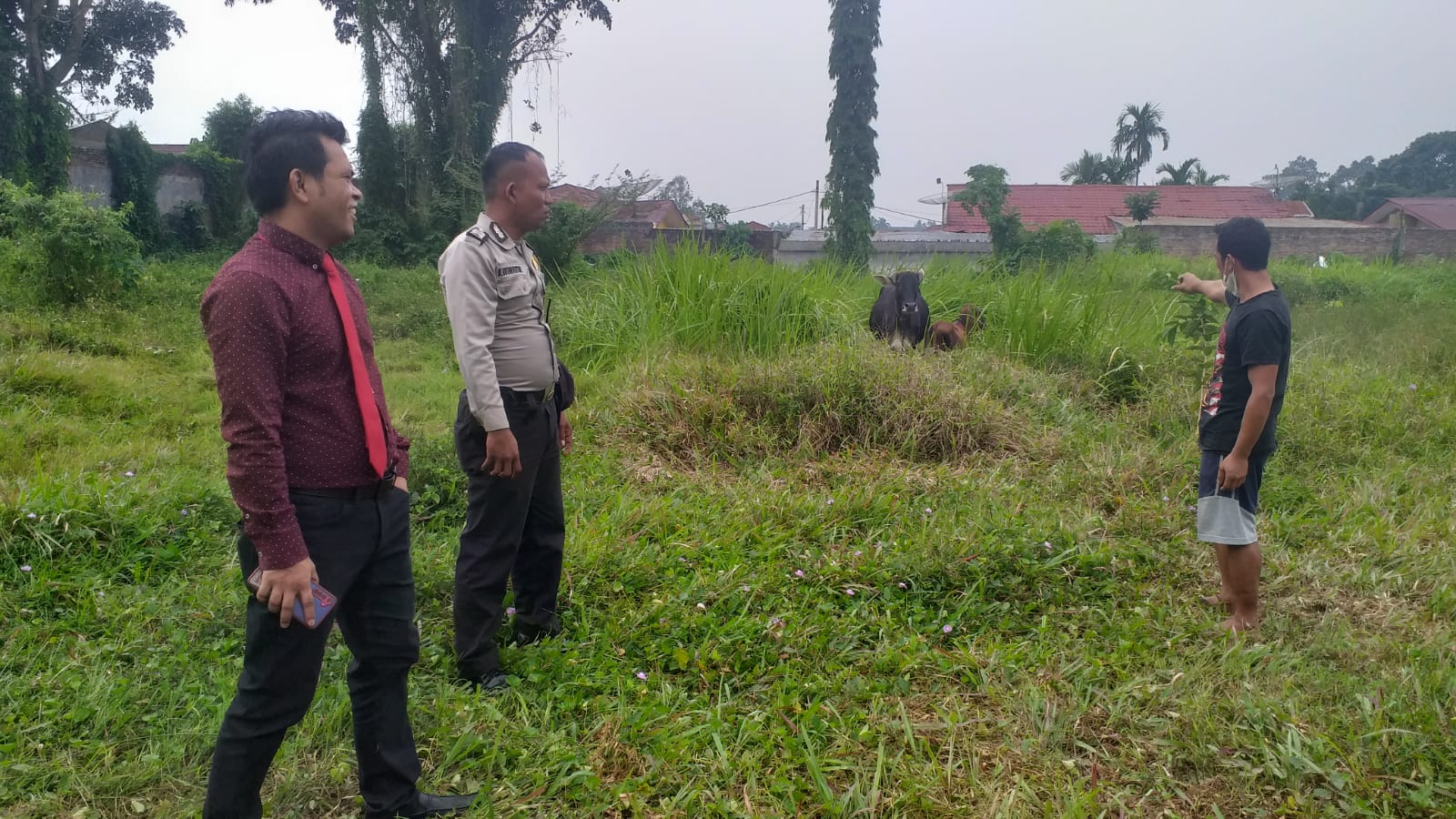 Bhabinkamtibmas Polsek Siantar Marihat Mediasi Keluhan Tentang Lembu Masuk Ke Lahan Kosong Tanpa izin