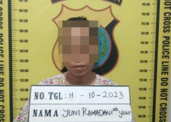 Mencuri Di Rumah Majikan, Wanita Asal  Pondok Ladang Simalungun Diringkus