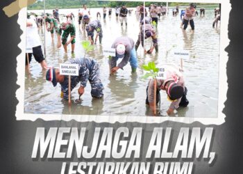 Sambut HUT Ke-72, Humas Polri Gelar Penanaman Mangrove Serentak di 35 Titik Se-Indonesia