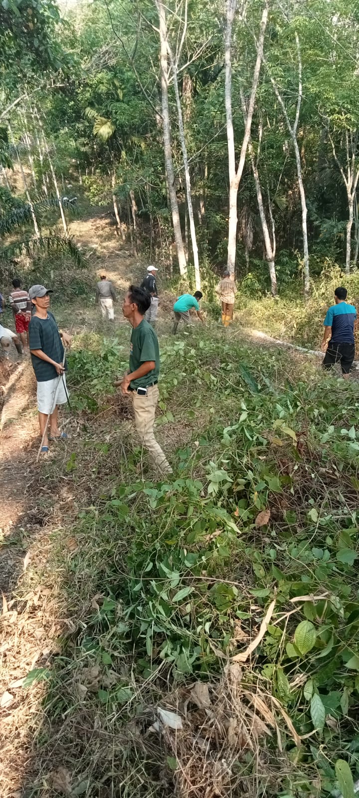 Warga Kampung Karang Umpu Way Kanan Antusias Gotong Royong Bersihkan Badan Jalan Warga Kampung Karang Umpu Way Kanan Antusias Gotong Royong Bersihkan Badan Jalan