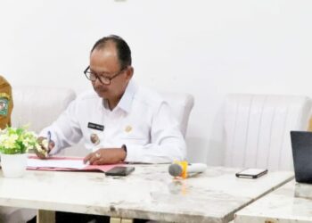 Wabup Simalungun Ikuti Review Program Bangga Kencana dan Percepatan Penurunan Stunting Provsu  