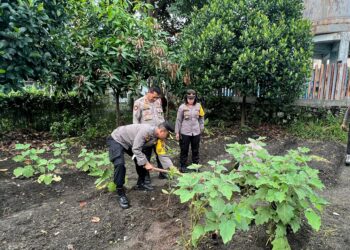 Polres Siantar Gelar Baksos, Bakkes dan Penananam Bibit Pohon