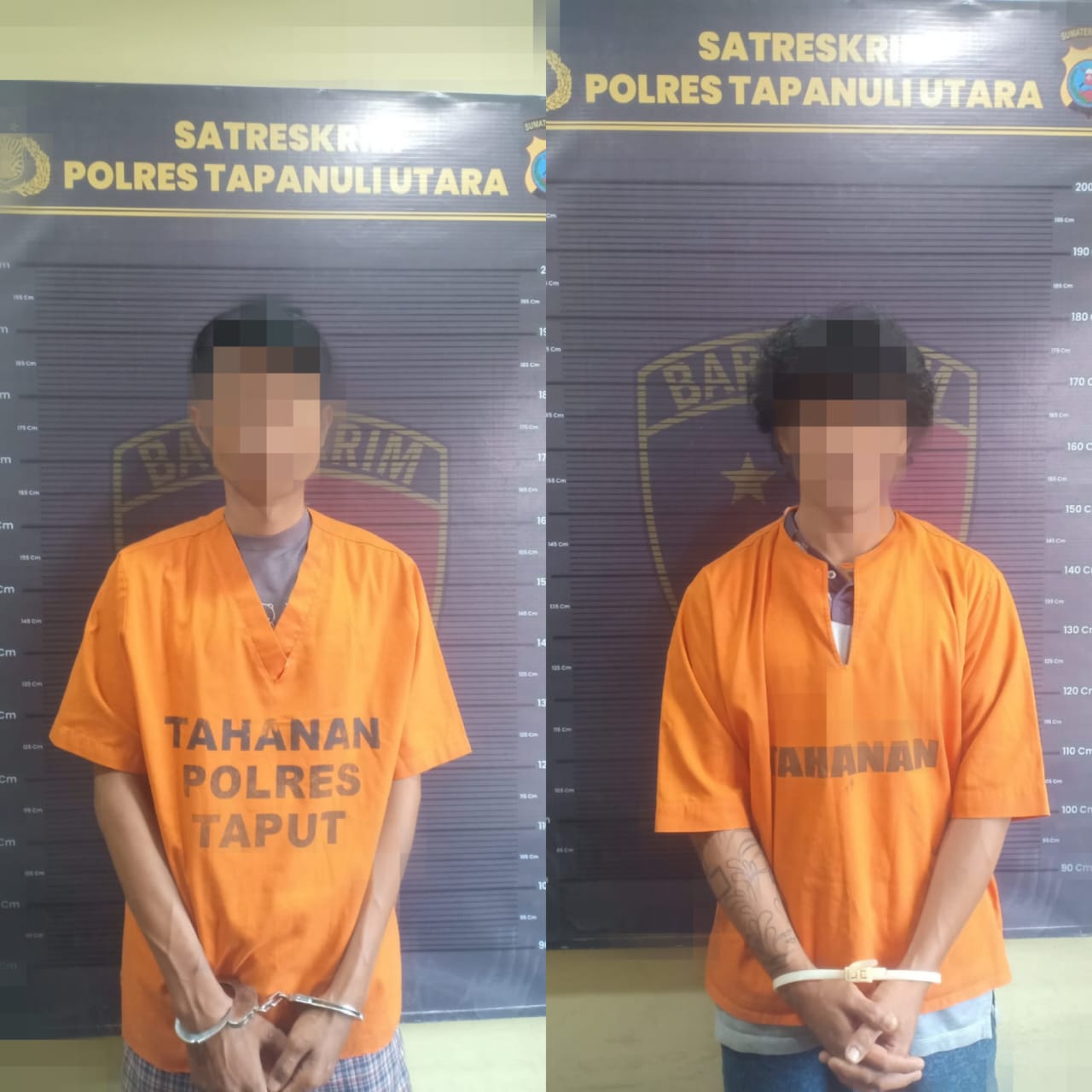 Operasi Sikat Toba 2023 Berlangsung, Polres Taput Ringkus 2 Pelaku Curat