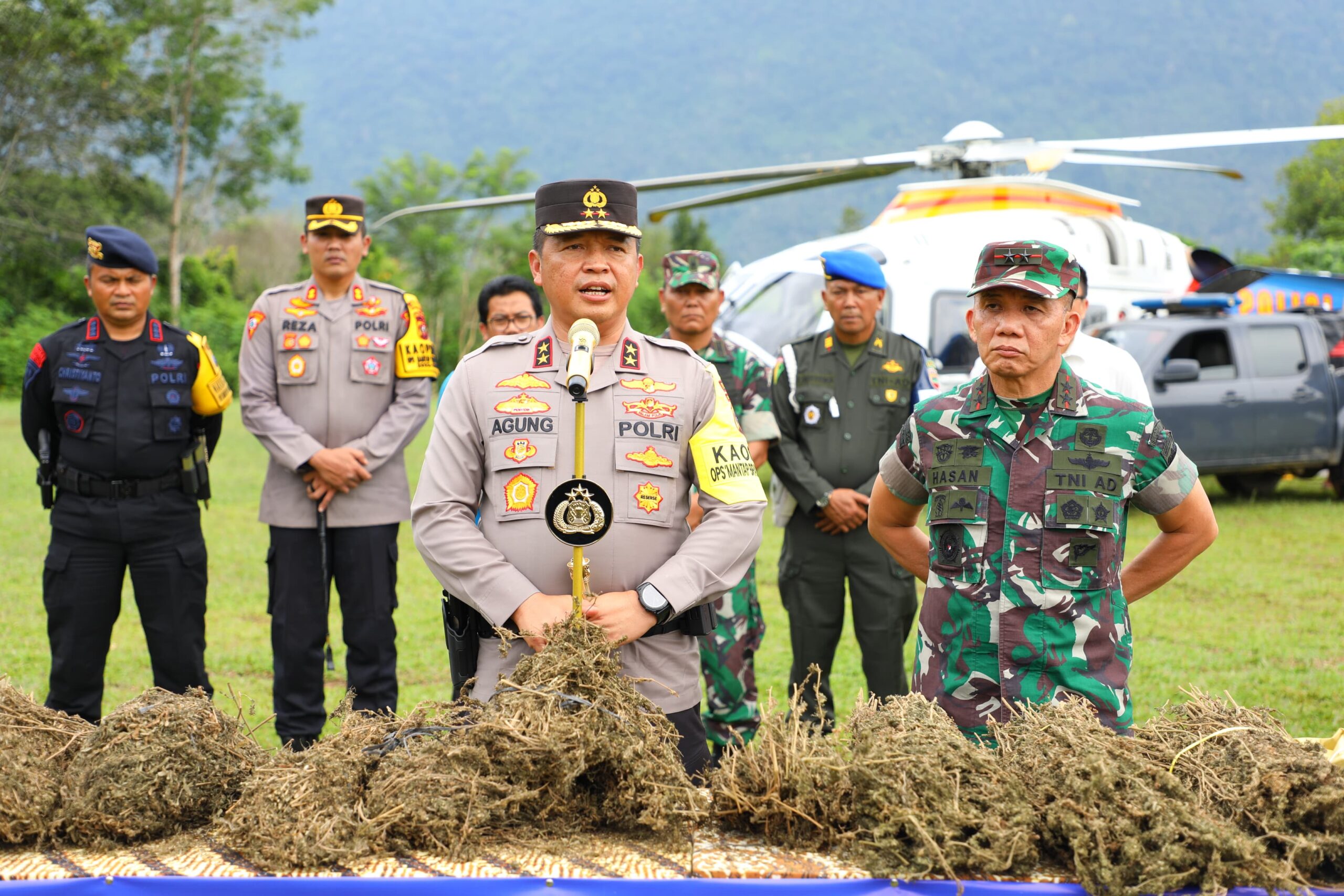 Polda Sumut Temukan 150 Ha Ladang Ganja di Mandailing Natal