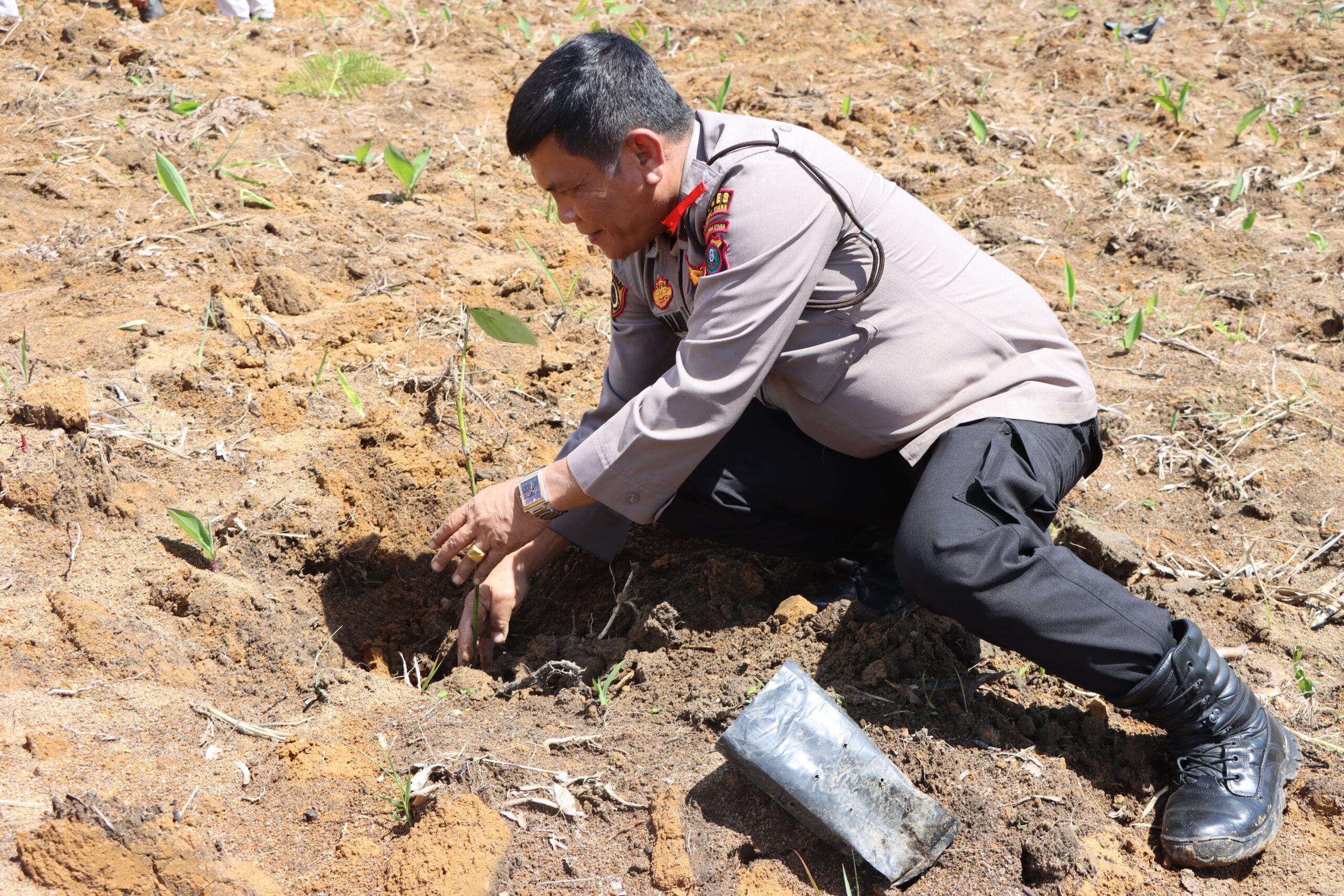 Polres Taput Gelar Penanaman Berjuta Pohon di Sekitaran Rumah Doa Simenarium Sipoholon