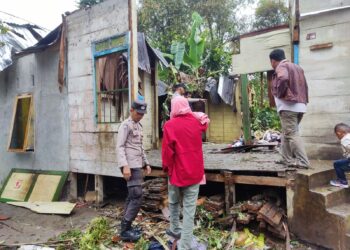 Pohon Kemiri Tumbang Timpa Rumah Warga di Taput, Rianty Rotua Lumbantoruan Tewas