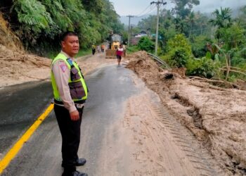 Jalinsum di Kecamatan Pahae Jae Dan Pahae Julu Ditimbun Longsor, 1 Unit Truck Terjatuh ke Jurang