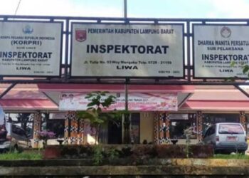 Soal Kendaraan Dinas Pekon Sinarjaya, Inspektorat Lampung Barat: "Itu harus Dikembalikan Secepatnya Karna Itu Aset Pekon"