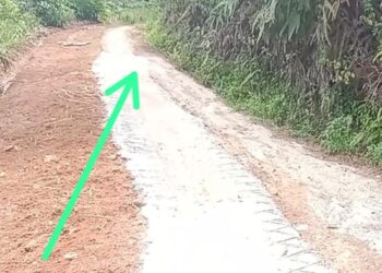 Wow...!! Rabat Beton 100 Meter Dana Rp101 Juta di Pemangku Silingkut Pekon Sinar Jaya Diduga Fiktif 