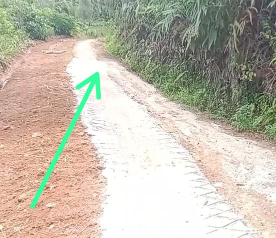 Wow...!! Rabat Beton 100 Meter Dana Rp101 Juta di Pemangku Silingkut Pekon Sinar Jaya Diduga Fiktif 