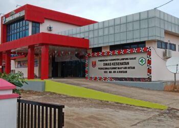 Soal Menu PMT Diduga Tidak Sesuai, Ini Jawaban Kepala Puskesmas Airhitam 