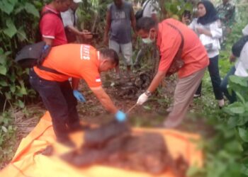 Pensiunan Karyawan BUMN Ditemukan Tewas Tergantung di Kebun Kelapa Sawit di Simalungun 