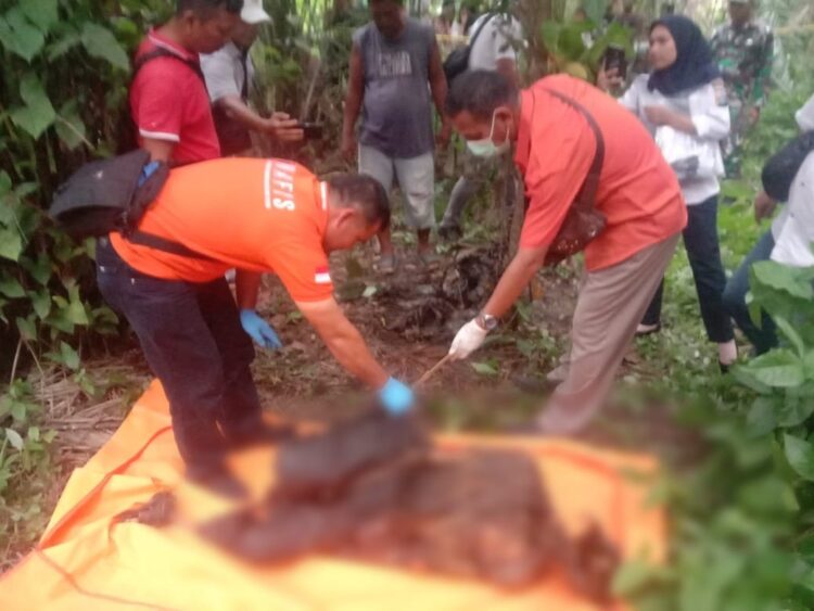 Pensiunan Karyawan BUMN Ditemukan Tewas Tergantung di Kebun Kelapa Sawit di Simalungun 
