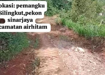 Rabat Beton Diduga Fiktif Di Pekon Sinarjaya, Kinerja Camat Airhitam dan Inspektorat Patut Dipertanyakan