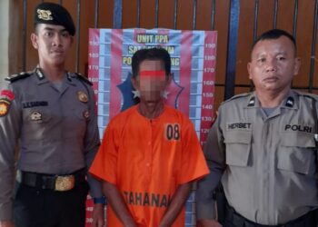 Kepergok Cabuli Bocah 5 Tahun, Ajo Pedagang Sate Diringkus Sat Reskrim Polres Tapteng
