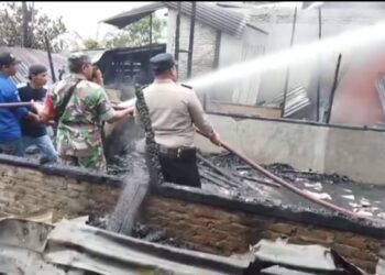 6 Unit Rumah di Desa Kuta Babo Dilahap Sijago Merah, Pemkab Pakpak Bharat Dirikan Tenda Penampungan