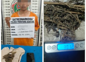 Polres Siantar Ringkus Warga Jalan Mawar Pemilik 30,12 Gram Ganja 