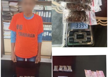 Sat Narkoba Polres Simalungun Bekuk Pengedar Narkoba,  33,94 Gram Ganja Siap Edar Disita