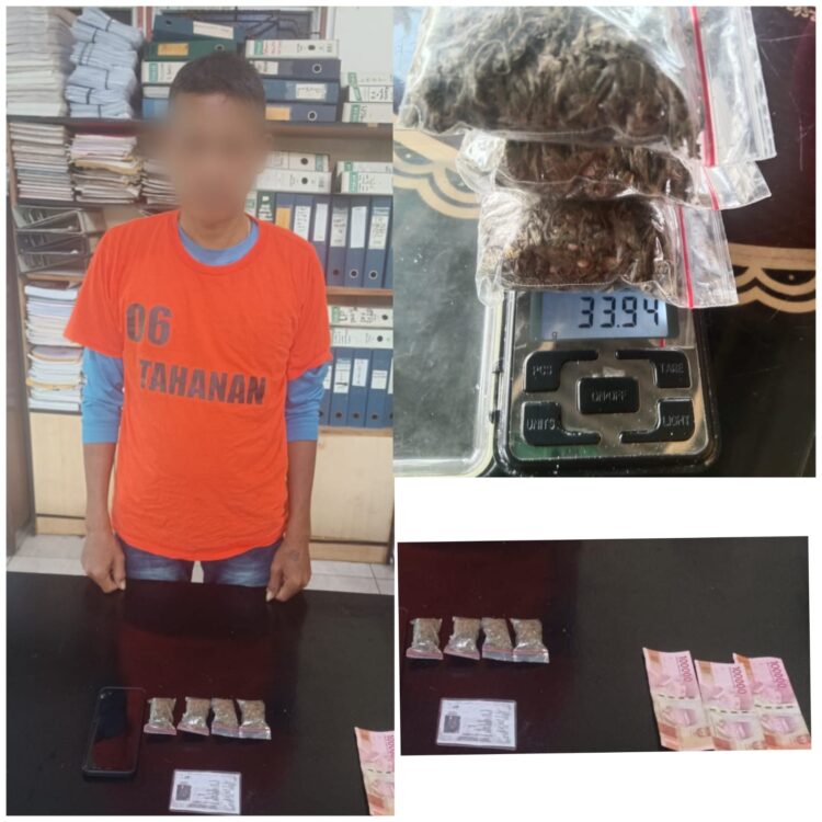 Sat Narkoba Polres Simalungun Bekuk Pengedar Narkoba,  33,94 Gram Ganja Siap Edar Disita