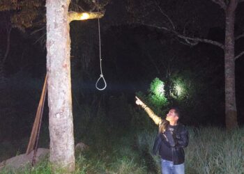 Depresi Setelah Pulang Dari Perantauan, Poltak Sihombing Nekat Gantung Diri di Pohon Durian