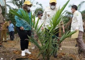 Pemkab Pakpak Bharat Tandatangani Perjanjian Kerja Sama PSR Dengan  Dirjen Perkebunan Kementerian Pertanian RI