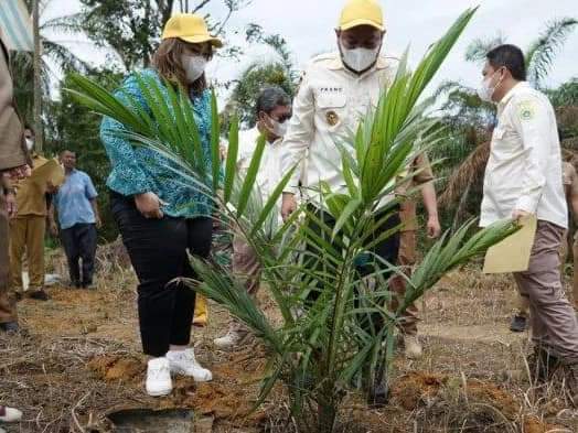 Pemkab Pakpak Bharat Tandatangani Perjanjian Kerja Sama PSR Dengan  Dirjen Perkebunan Kementerian Pertanian RI