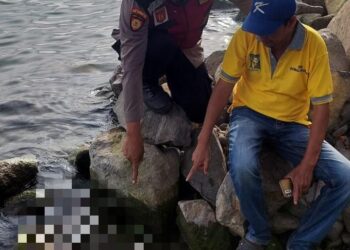  Geger, Potongan Tubuh Manusia Tanpa Kepala Ditemukan Danau Toba Haranggaol Horisan