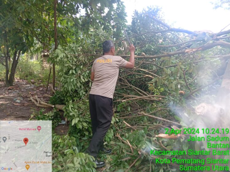 Bhabinkamtibmas Bantan Bantu Bersihkan Rumah Warga Tertimpa Pohon Tumbang