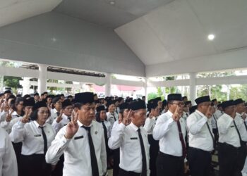 Carut Marut Pelantikan Menyongsong Pilkada Toba