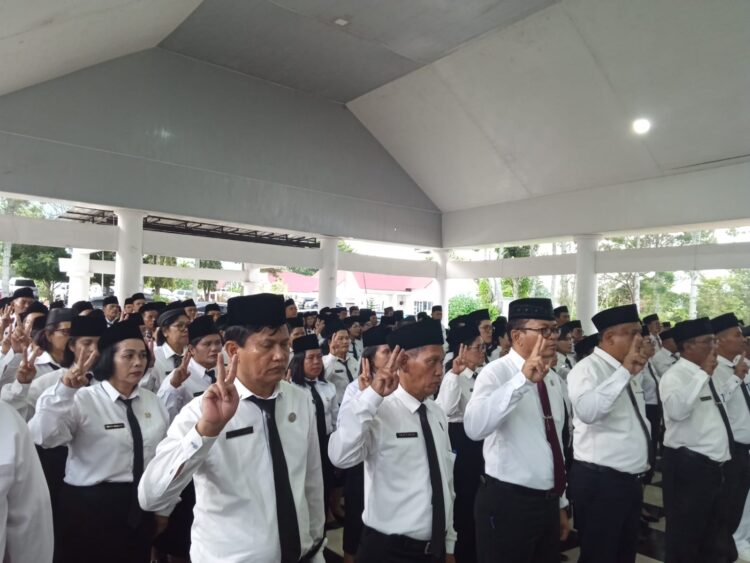Carut Marut Pelantikan Menyongsong Pilkada Toba