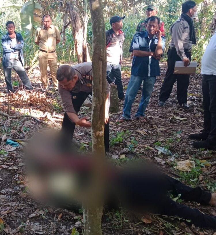 Polsek Parapat Evakuasi Mayat di Perladangan Kopi, Diduga Akibat Penyakit Asam Lambung Kronis