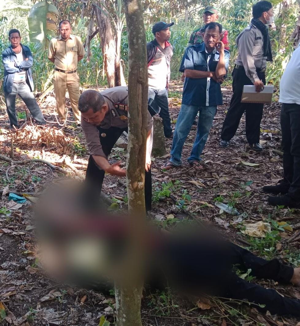 Polsek Parapat Evakuasi Mayat di Perladangan Kopi, Diduga Akibat Penyakit Asam Lambung Kronis Polsek Parapat Evakuasi Mayat di Perladangan Kopi, Diduga Akibat Penyakit Asam Lambung Kronis