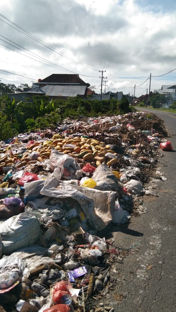 Tumpukan Sampah di Jalan Raya Perbatasan Pekon Canggu Kotabes, Dinas Lingkungan Hidup "Tutup Mata"