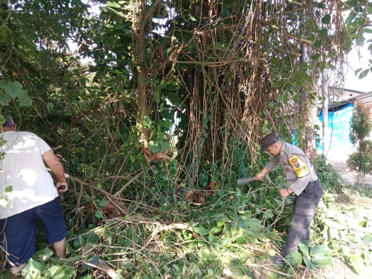 Bhabinkamtibmas Teladan Ikut Membantu Bersihkan Ranting Melintang di Jalan Simbolon