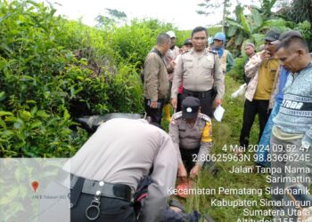  Kebun Teh Pamatang Sidamanik Geger, Pensiunan BUMN Ditemukan Tewas 