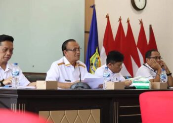 Ini Pemaparan Wakil Bupati Dalam Percepatan Penanganan Stunting Kabupaten Pakpak Bharat