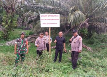 Irsal Variadi, S. STP : Status Lahan Stanvas di Batahan Belum Dicabut