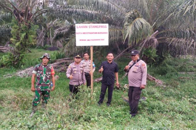 Irsal Variadi, S. STP : Status Lahan Stanvas di Batahan Belum Dicabut