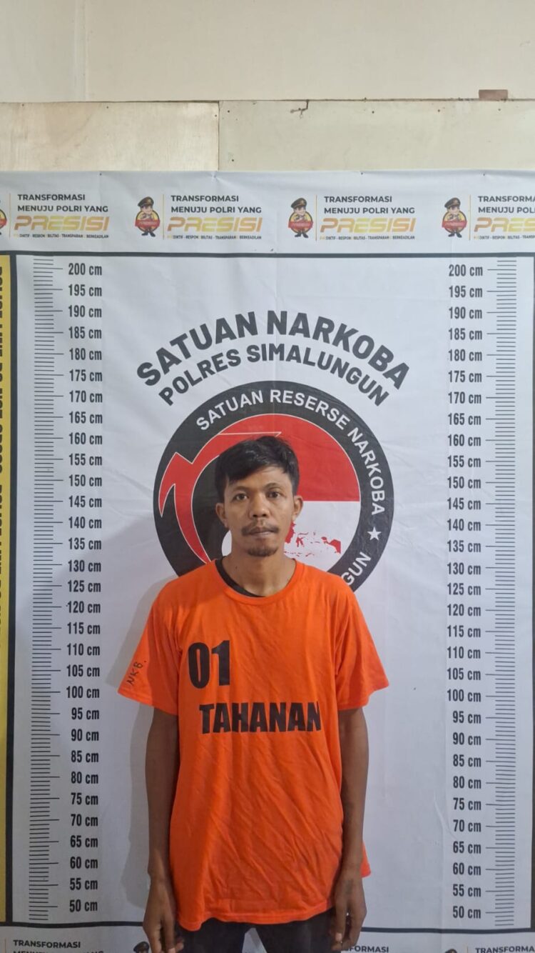 Polres Simalungun Tangkap Pengedar Narkoba dari Perladangan di Ujung Padang