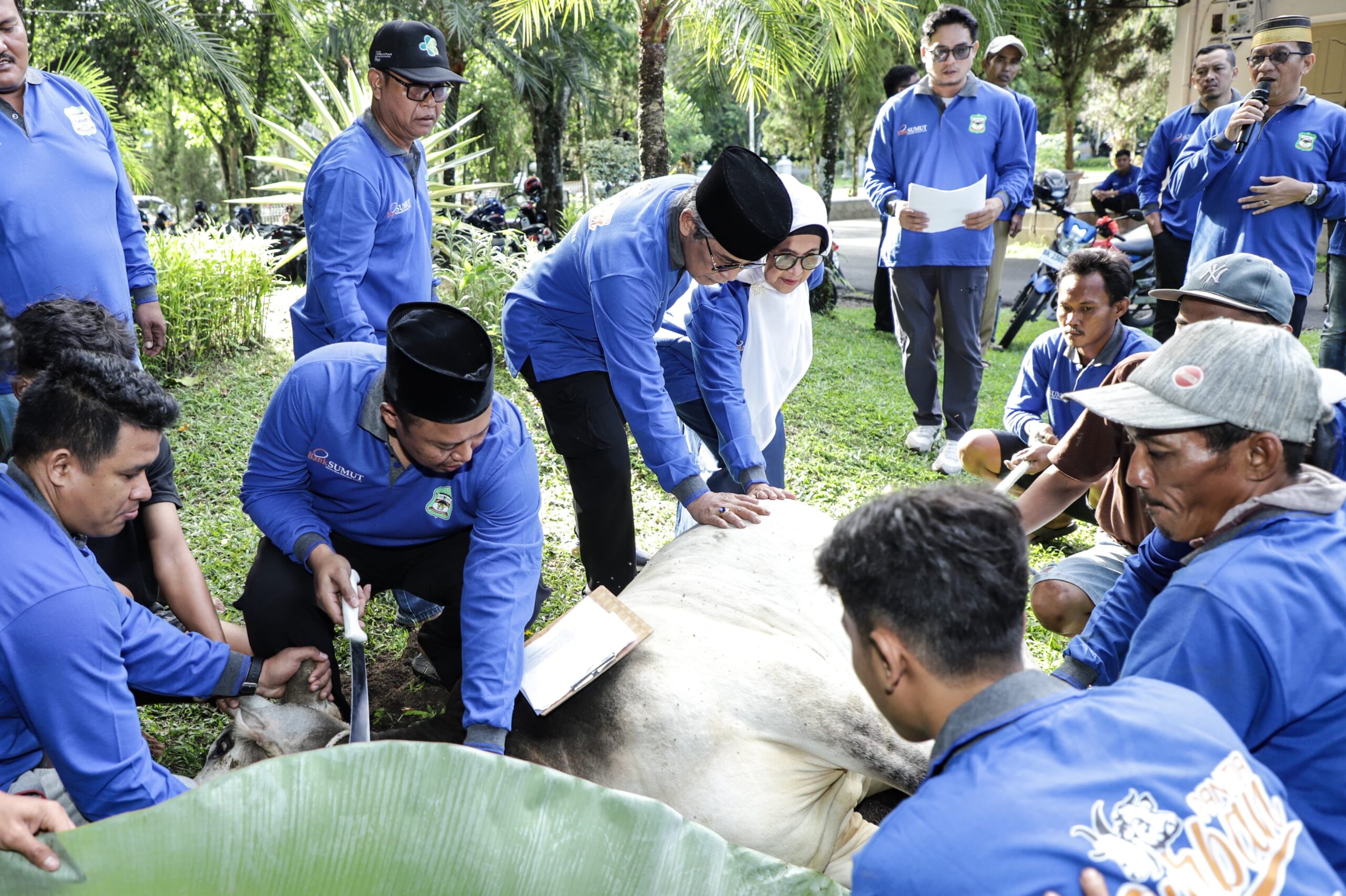 Hari Raya Idul Adha 1445, Pemko Pematangsiantar Sembelih 7 Ekor Sapi 