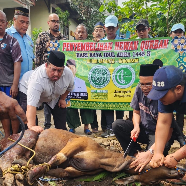 BKPRMI dan Jamiyah Singapore Sebar 1.000 Hewan Qurban di Indonesia