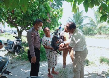 Bhabinkamtibmas Kelurahan Marihat Jaya Dampingi Petugas Dinas Peternakan Lakukan Vaksinasi Rabies Gratis