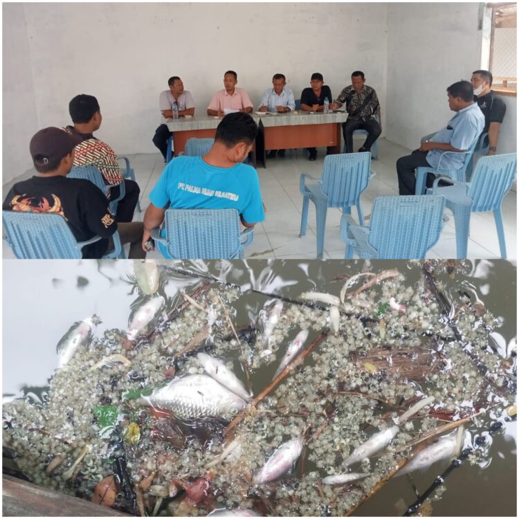 Limbah PKS SJS Rusak Sungai Dan Kebutuhan Air Bersih Warga