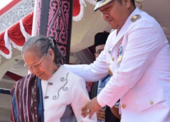 Ibunda Basaria Restui Niat Nikson Nababan Maju Sebagai Calon Gubsu